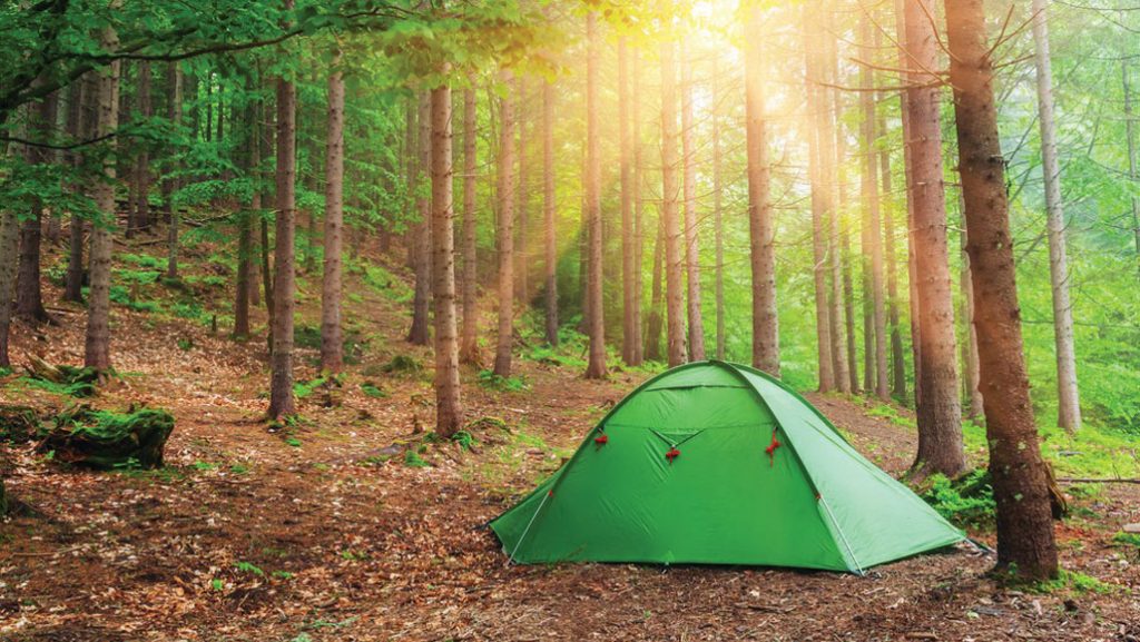 Camping in a forest