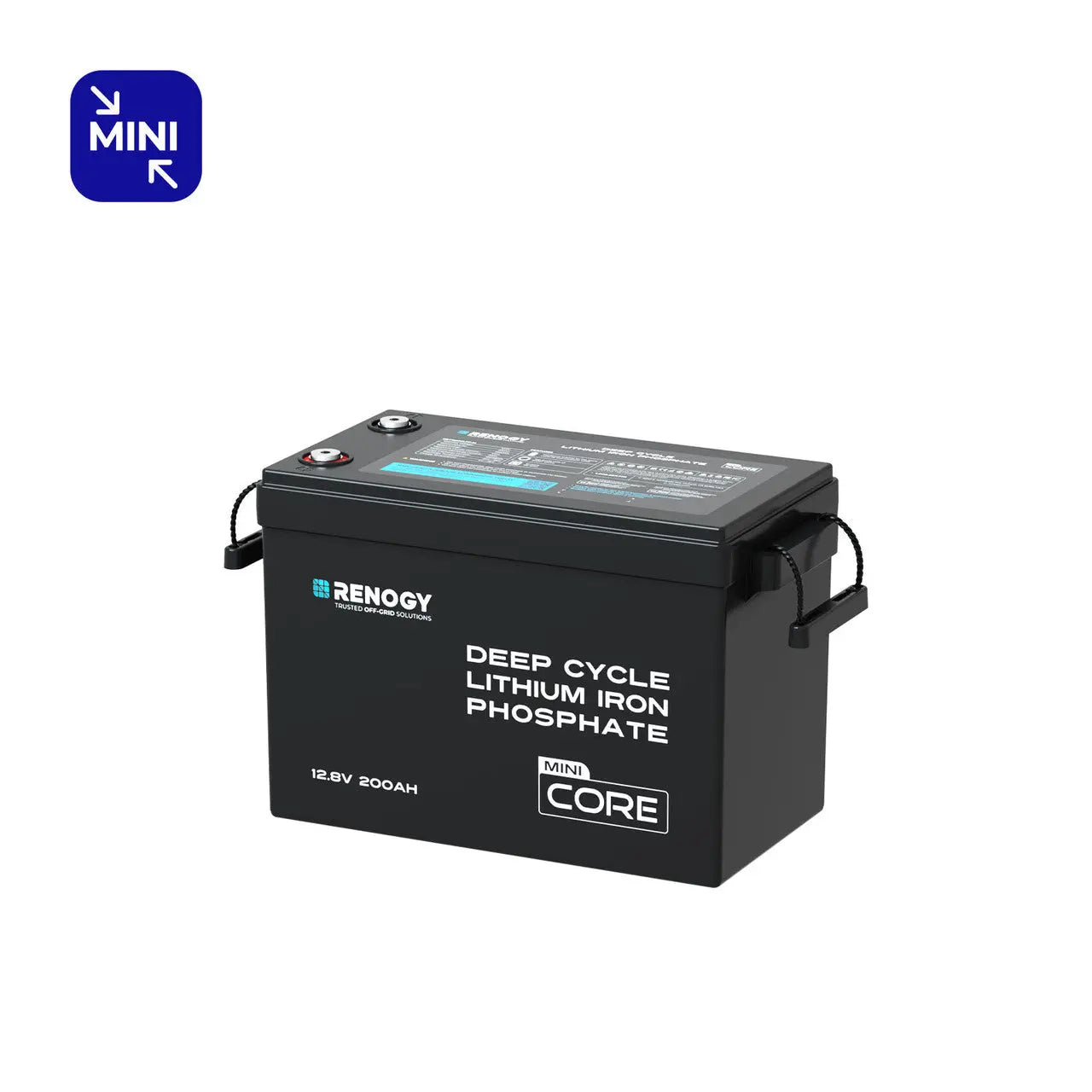 Renogy Smart Lithium LiFePO4 Battery