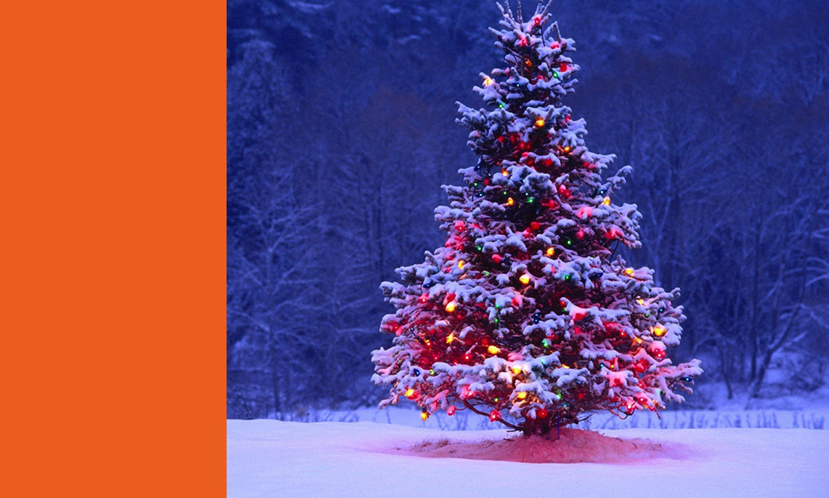 5 WAYS TO SPEND CHRISTMAS OUTDOORS PF Jones