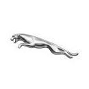 Jaguar Injectors