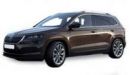 Skoda Karoq Diesel Fuel Pumps