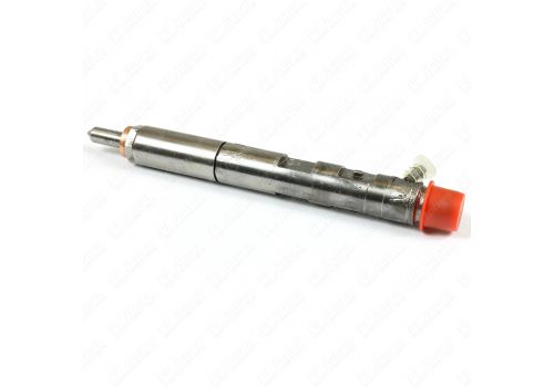 Renault Scenic 1.5 DCI 2003-2009 New Delphi Diesel Injector 28232248