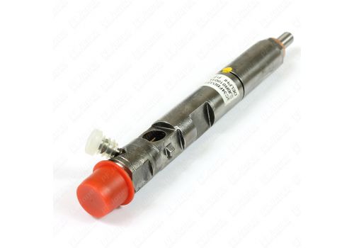 Renault Scenic 1.5 DCI 2003-2009 New Delphi Diesel Injector 28232248