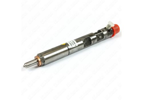 Renault Scenic 1.5 DCI 2003-2009 New Delphi Diesel Injector 28232248